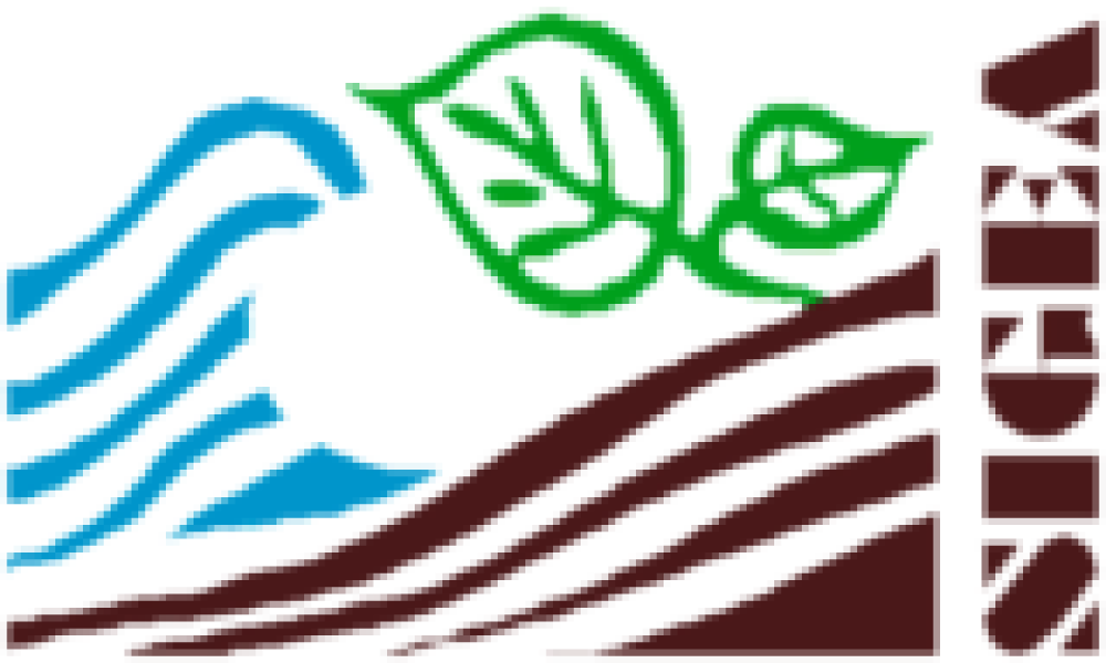 Le Dune Costiere: Valore ambientale, paesaggistico ed economico risorsa da proteggere e preservare interventi di riqualificazione e gestione integrata della fascia costiera