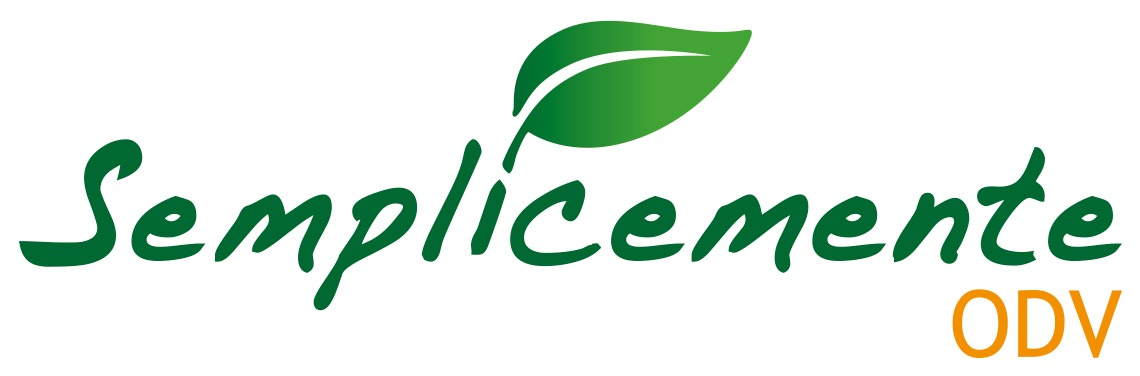 Workshop Internazionale “design+build ITALY 2026” 