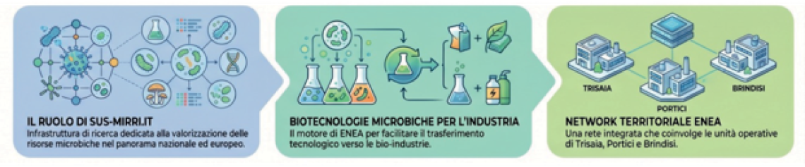 Dalla ricerca alle imprese: il ruolo del PNRR SUS-MIRRI.IT e di ENEA nel trasferimento tecnologico e nell'innovazione 