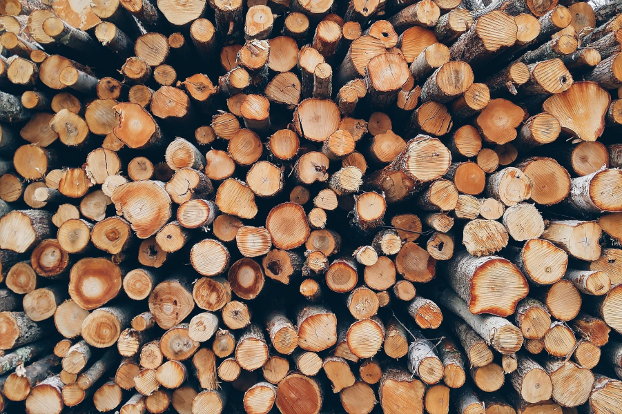 Laboratorio pratico sul legno per il settore delle costruzioni