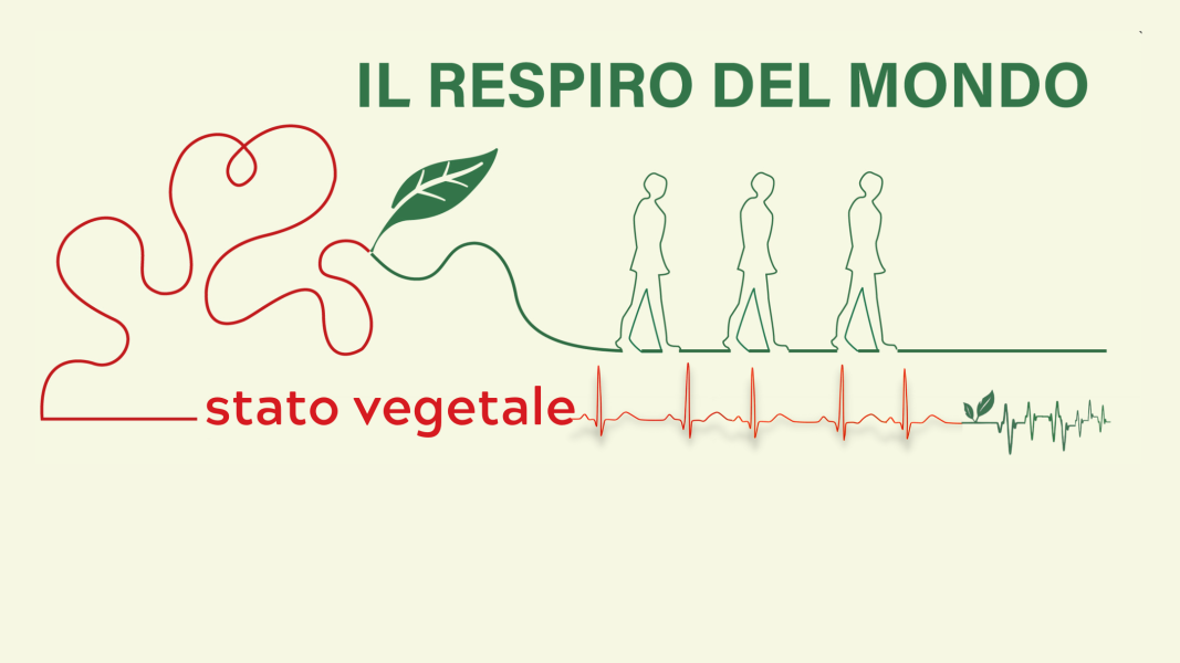 Il respiro del mondo: lo stato vegetale